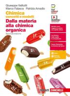 Chimica: concetti e modelli. Dalla materia alla chimica organica. Per le Scuole superiori. Con e-book. Con espansione online di Giuseppe Valitutti, Marco Falasca, Patrizia Amadio edito da Zanichelli