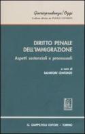 Diritto penale dell'immigrazione. Aspetti sostanziali e processuali edito da Giappichelli