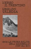 Verso il Trentino. 1902, la prima salita dell'Adamello con gli sci di Ubaldo Valbusa edito da Mulatero Editore