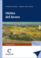 Diritto del lavoro di Antonella Occhino, Gaetano Zilio Grandi edito da Giappichelli