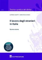 Il lavoro degli stranieri in Italia di Alfredo Casotti, M. Rosa Gheido edito da Giuffrè