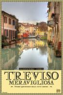 Treviso meravigliosa. Storie quotidiane della città gioiosa di Alessandro Comin edito da Edizioni della Sera