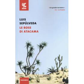 Le rose di Atacama
