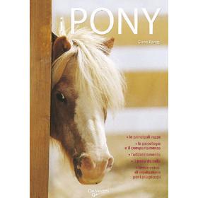 Il pony