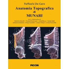 Anatomia topografica di Munari