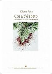 Cosa cè sotto. Considerazioni sulla terra.pdf