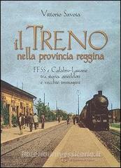 Il treno nella provincia reggina. FFSS e calabro-lucane tra storia, aneddoti e vecchie immagini.pdf