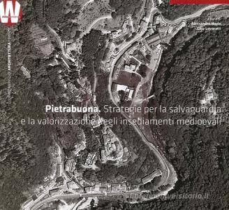 Pietrabuona. Strategie per la salvaguardia e la valorizzazione degli insediamenti medievali.pdf