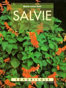 Salvie.pdf