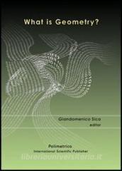 What is geometry. Ediz. inglese e italiana.pdf