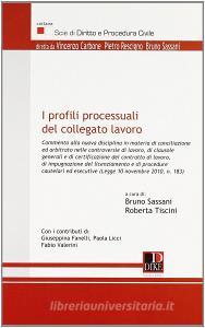 I profili processuali del collegato lavoro.pdf