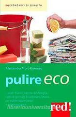 Pulire eco.pdf