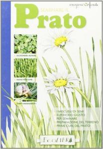Seminare il prato.pdf