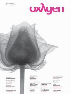 Oxygen. La scienza per tutti vol.5.pdf