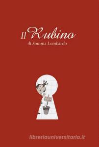 Il Rubino di Somma Lombardo. Verso un progetto di augmented reality.pdf
