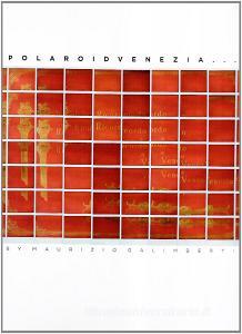 Polaroidvenezia.pdf