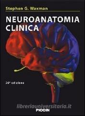 Neuroanatomia clinica.pdf