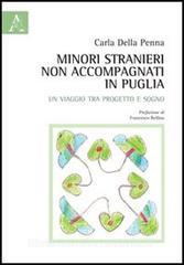 Minori stranieri non accompagnati in Puglia. Un viaggio tra progetto e sogno.pdf