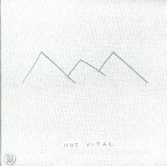Not Vital. Catalogo della Mostra (Venezia, 3 marzo-15 maggio 2007). Ediz. italiana e inglese.pdf