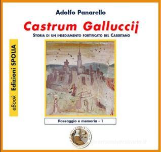 Castrum Galluccij. Storia di un insediamento fortificato nel casertano. CD-ROM.pdf