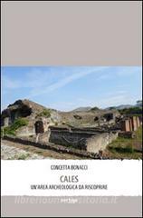 Cales. Unarea archeologica da riscoprire.pdf