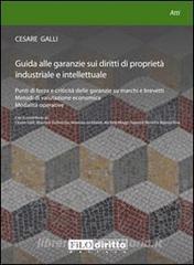 Guida alle garanzie sui diritti di proprietà industriale e intellettuale.pdf