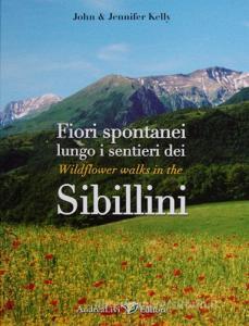 Fiori spontanei lungo i sentieri dei Sibillini-Wildflower wlaks in the Sibillini. Ediz. bilingue.pdf