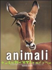 Animali.pdf
