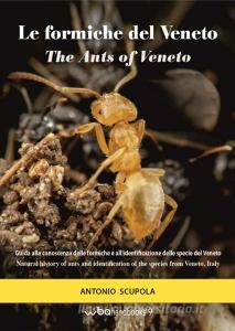 Le formiche del Veneto. Guida al riconoscimento delle specie con note di mirmecologia generale-The ants of Veneto. Guide to recognition of species with notes of general.pdf