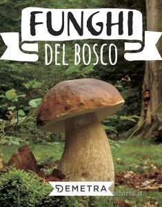 Funghi del bosco.pdf