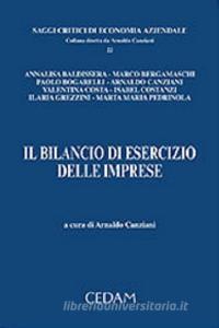 Il bilancio desercizio delle imprese.pdf
