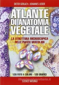 Atlante di anatomia vegetale.pdf