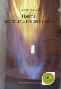 Fiamme: meccanismi, struttura e colore.pdf
