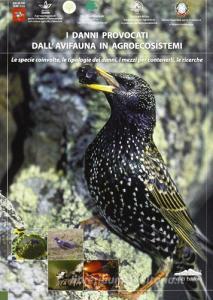 I danni provocati dall'avifauna in agroecosistemi. Le specie coinvolte, le tipologie dei danni, i mezzi per contenerli, le ricerche nel Parco Migliarino... retedem.it Image