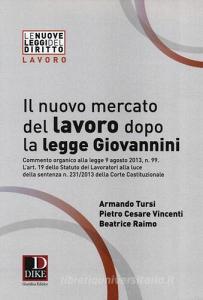 Il nuovo mercato del lavoro dopo la legge Giovannini.pdf