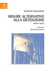 Misure alternative alla detenzione. Norma e prassi.pdf