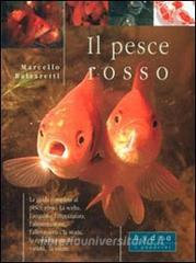 Il pesce rosso Il pesce rosso