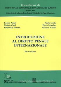 Introduzione al diritto penale internazionale.pdf