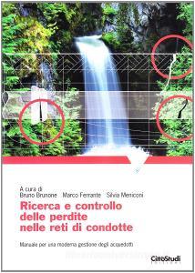 Ricerca e controllo delle perdite nelle reti condotte.pdf