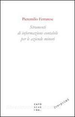 Strumenti di informazione contabile per le aziende minori.pdf