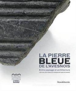 La pierre bleue de lAvesnois. Entre paysage et architecture. Les collections du Forum Antique de Bavay.pdf