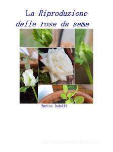 Ebook La riproduzione delle rose da seme di Enrico Indolfi edito da Youcanprint