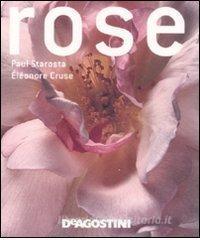 Rose.pdf
