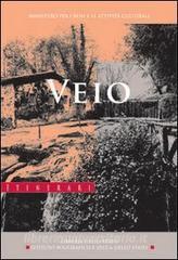 Veio.pdf