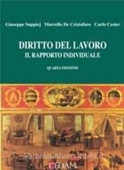 Diritto del lavoro. Il rapporto individuale.pdf