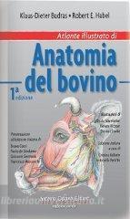 Atlante illustrato di anatomia del bovino.pdf