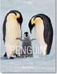 Pinguini.pdf