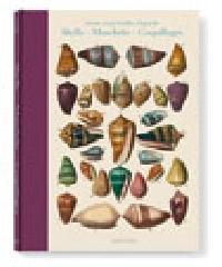 Dezallier, conchology. Ediz. italiana, spagnola e portoghese.pdf