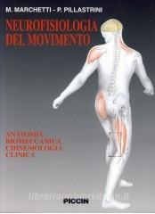 Neurofisiologia del movimento. Anatomia, biomeccanica, chinesiologia, clinica.pdf