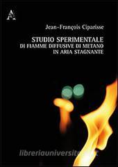 Studio sperimentale di fiamme diffusive di metano in aria stagnante.pdf